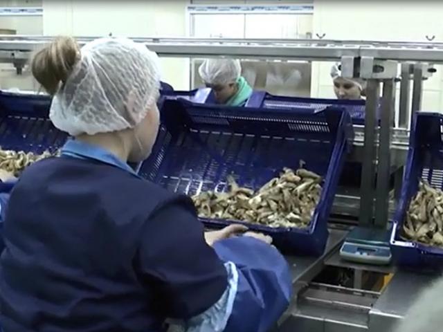 Фасовочный конвейер  в Мысках