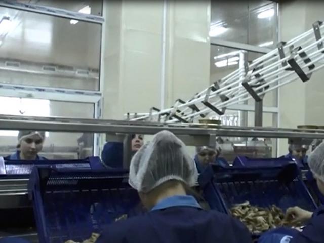 Гравитационная направляющая для пустой жестяной тары в Мысках